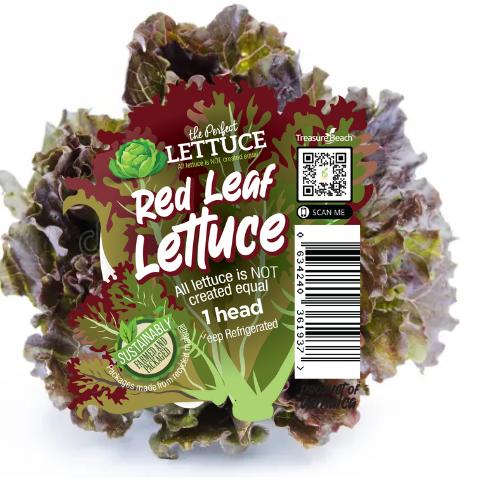 Red Leaf Lettuce (1 head)
