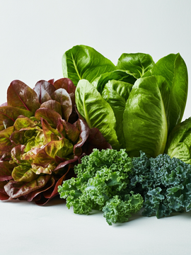 Gourmet Lettuce Bundle (4 lbs)