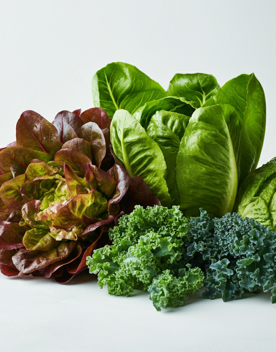 Gourmet Lettuce Box (4 lbs)