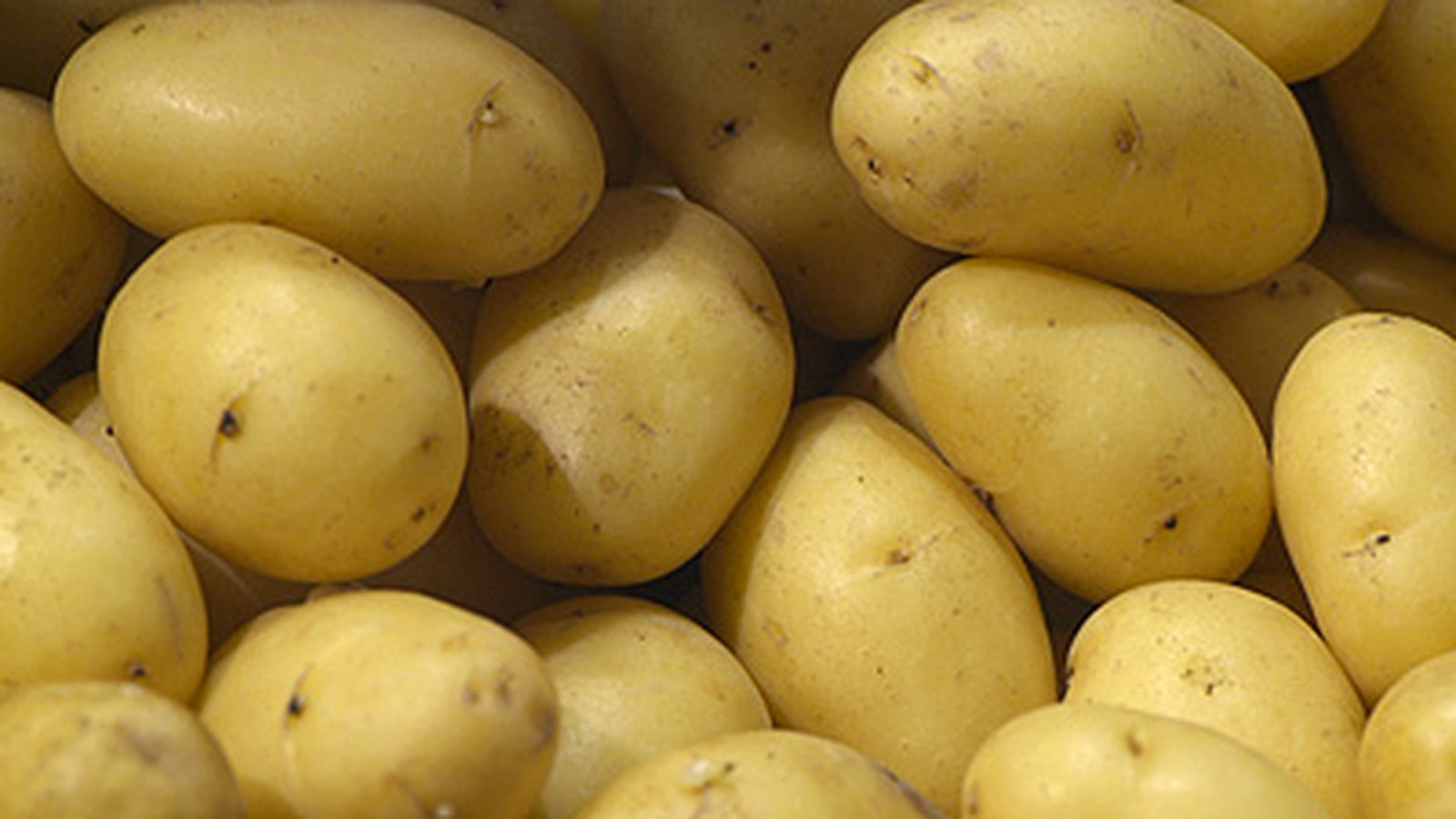 3 lb Washed Irish Potato (inter co)