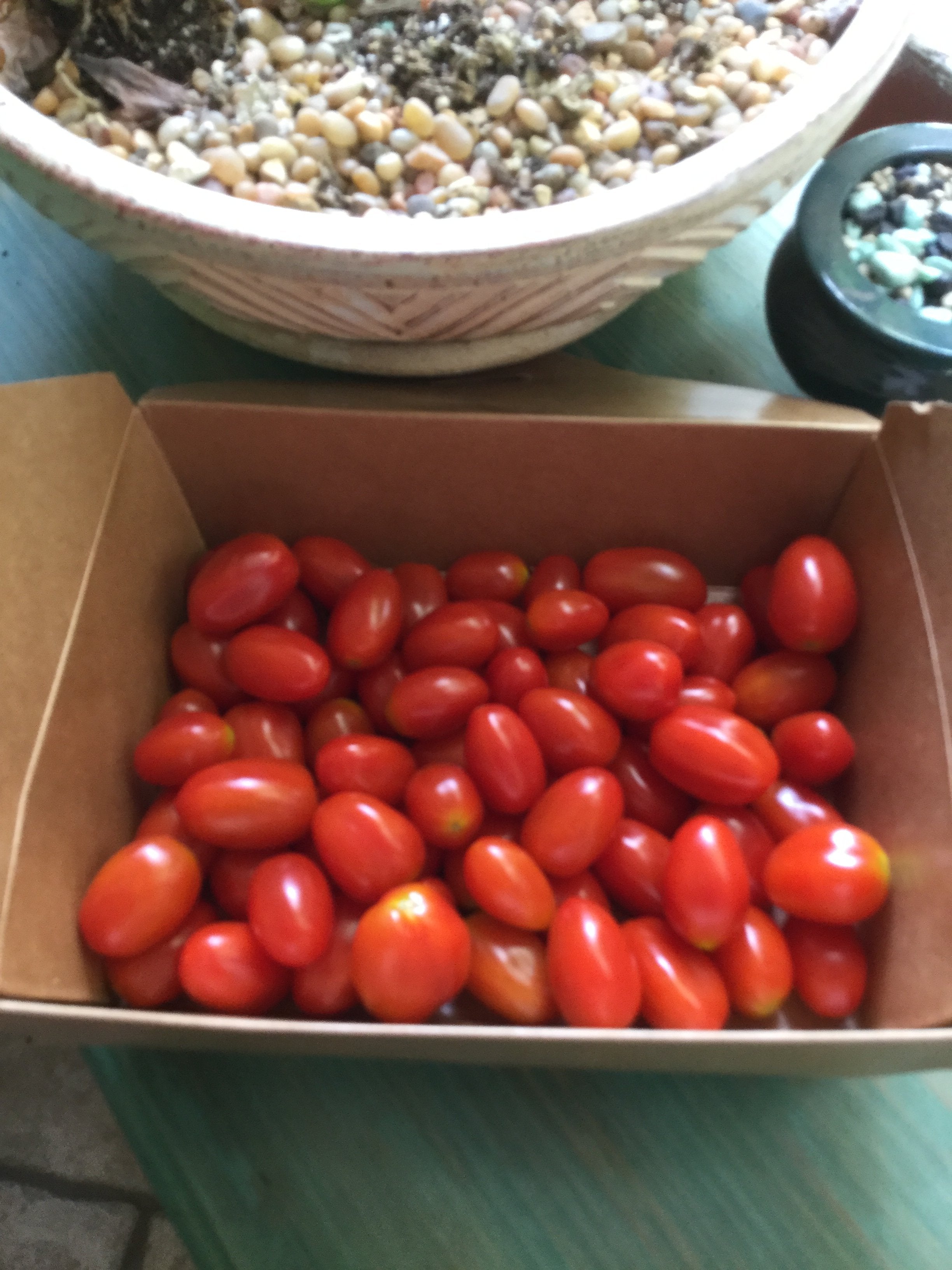 Bulk Loose (unpackaged) Red Grape Tomatoes (kg)