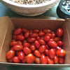 Bulk Loose (unpackaged) Red Grape Tomatoes (kg)