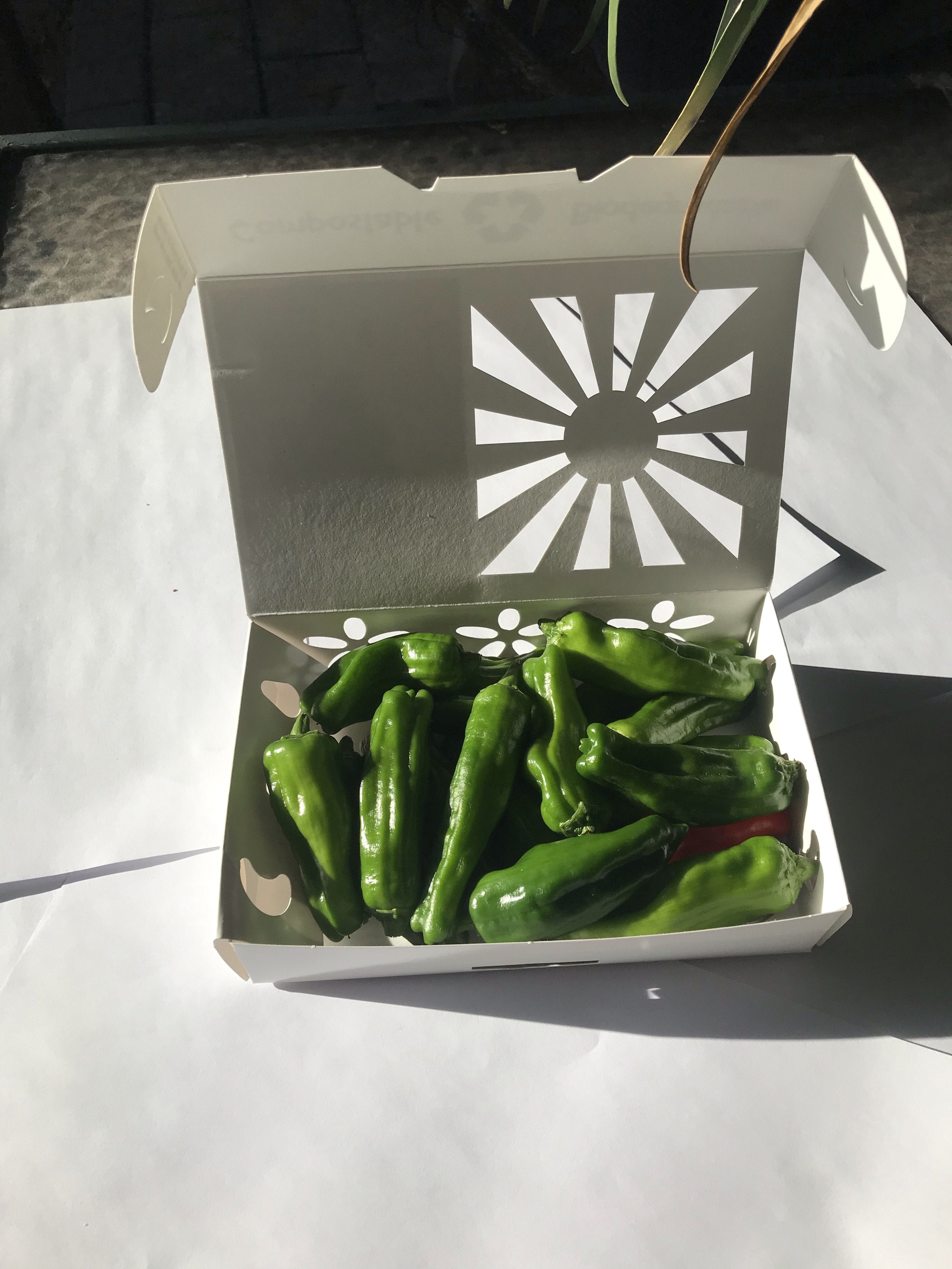 150g Shishito Peppers