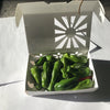 150g Shishito Peppers